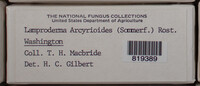 Image Associated With the Occurence